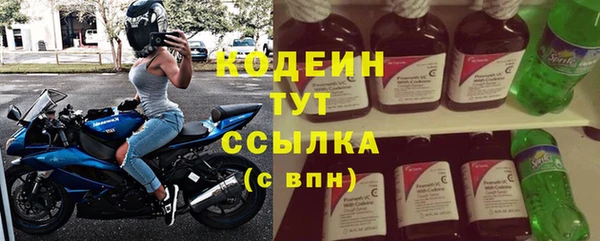 индика Пестово