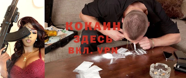 крисы Алзамай
