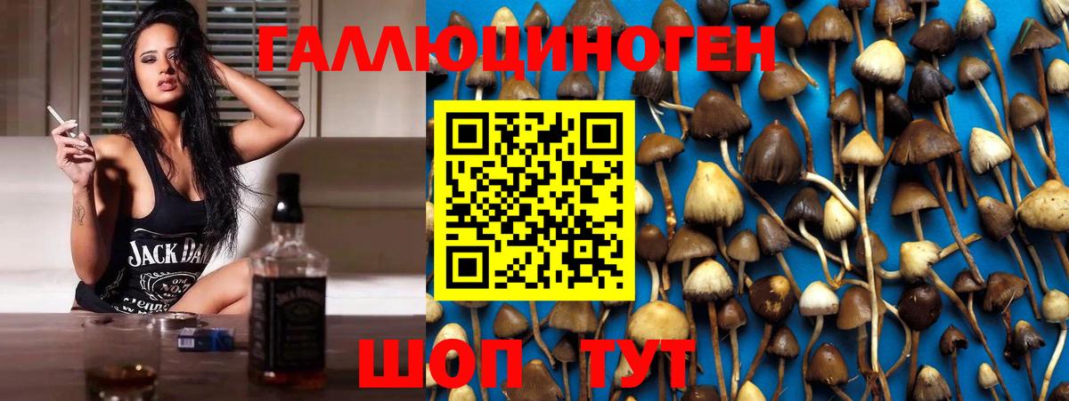 Галлюциногенные грибы ЛСД  Вход с VPN  Калач-на-Дону  Галлюциногенные грибы GOLDEN TEACHER 